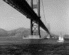 IMG078.GIF.gst.iff