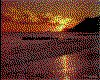IMG077.GIF.cst.iff