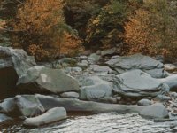 IMG076.GIF