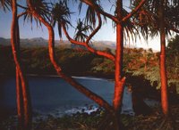 IMG075.GIF