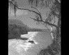 IMG074.GIF.gst.iff