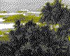 IMG069.GIF.cst.iff