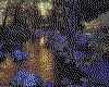 IMG067.GIF.cst.iff