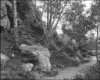 IMG061.GIF.gst.iff