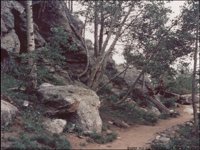 IMG061.GIF