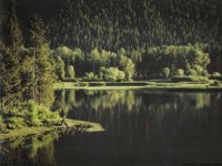 IMG059.GIF