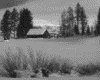 IMG058.GIF.gst.iff