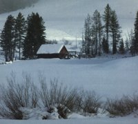 IMG058.GIF