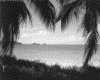 IMG056.GIF.gst.iff
