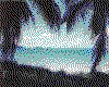 IMG056.GIF.cst.iff