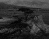 IMG055.GIF.gst.iff