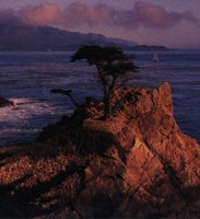 IMG055.GIF