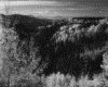 IMG054.GIF.gst.iff