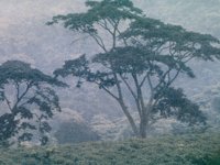 IMG053.GIF
