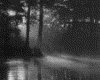 IMG050.GIF.gst.iff