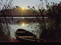 IMG049.GIF