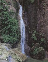 IMG048.GIF