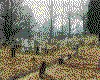IMG046.GIF.cst.iff