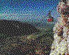 IMG043.GIF.cst.iff
