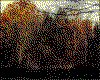 IMG040.GIF.cst.iff