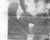 IMG037.GIF.gst.iff