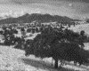 IMG034.GIF.gst.iff