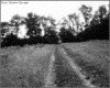 IMG033.GIF.gst.iff