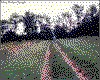 IMG033.GIF.cst.iff