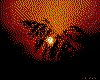 IMG032.GIF.cst.iff