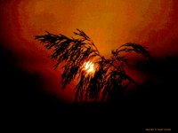 IMG032.GIF