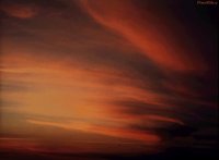 IMG030.GIF