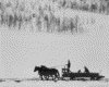 IMG027.GIF.gst.iff