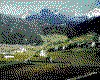 IMG025.GIF.cst.iff