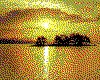 IMG024.GIF.cst.iff