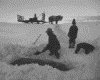 IMG023.GIF.gst.iff