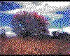 IMG017.GIF.cst.iff
