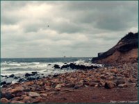 IMG015.GIF