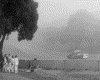 IMG014.GIF.gst.iff