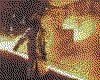 IMG008.GIF.cst.iff