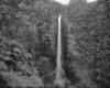 IMG003.GIF.gst.iff