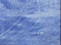 IMG001.GIF