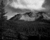 IMG080.GIF.gst.iff