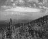 IMG079.GIF.gst.iff