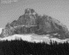 IMG078.GIF.gst.iff