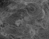 IMG075.GIF.gst.iff