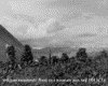 IMG070.GIF.gst.iff