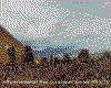 IMG070.GIF.cst.iff
