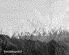IMG065.GIF.gst.iff