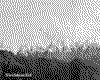IMG065.GIF.cst.iff