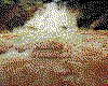 IMG062.GIF.cst.iff